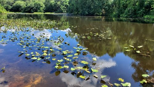 Scenic view of lake