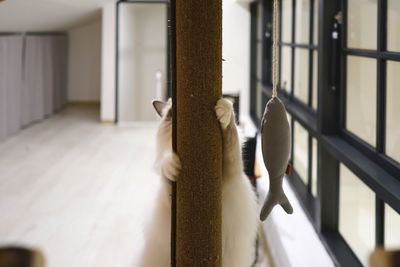 Close-up of clothes hanging on window at home