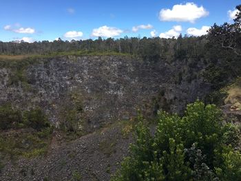 Plants growing on land against sky