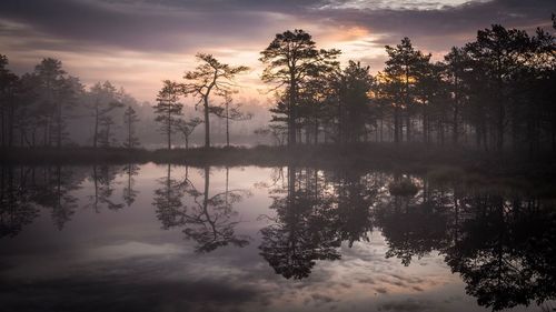 Reflection of trees in lake against sky during sunset