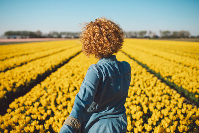 Rear view of man standing amidst yellow flowering plants on field