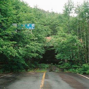 Road amidst trees in forest