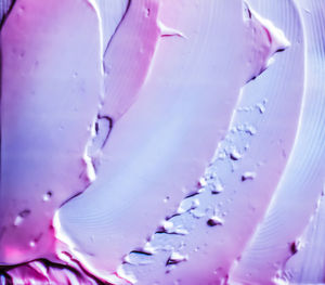 Full frame shot of pink rose flower