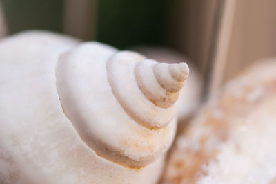 Close-up of ice cream