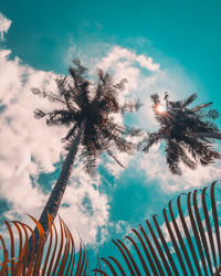 Low angle view of palm tree against sky