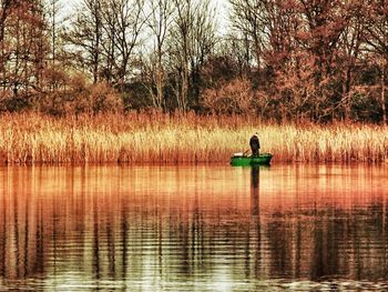 Reflection of trees in lake