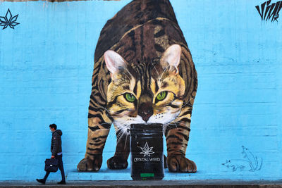 Full frame shot of cat on blue wall