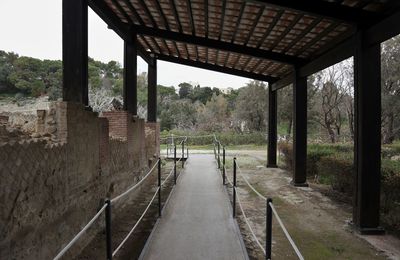 Empty footpath amidst buildings and trees