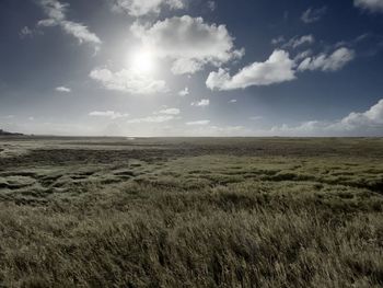 Scenic view of field against sky