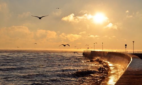 Birds flying over jetty against cloudy sky