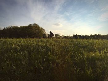 Scenic view of grassy field against sky