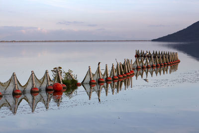 A landscape on the lake kerkini decorative nets with one common kingfisher with reflection