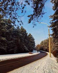 Road passing through snow covered trees