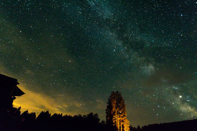 Low angle view of silhouette trees against star field at night