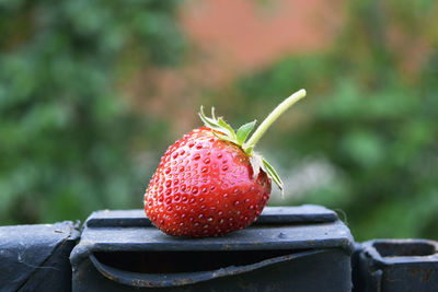 Close-up of strawberry