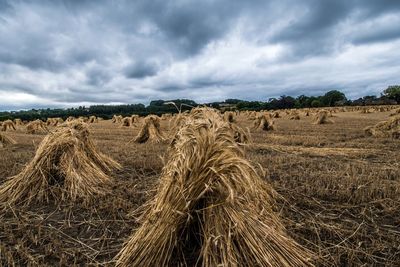 Hay bales on field against sky