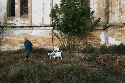 Man with dog in the background