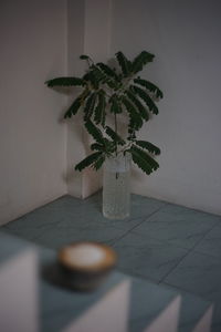 High angle view of potted plant on table