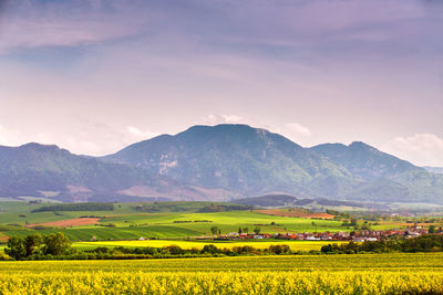 Scenic view of field against sky