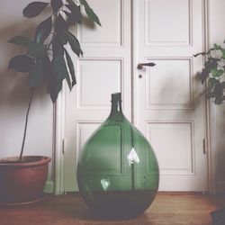 Potted plant on table at home