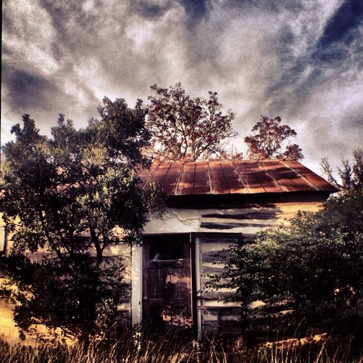 architecture, built structure, building exterior, tree, sky, house, low angle view, cloud - sky, roof, cloud, growth, cloudy, residential structure, no people, nature, outdoors, day, sunlight, window, old