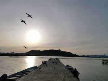 Birds flying over lake against sky during sunset