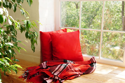 Interior of modern room wit cozy window sill, red pillows and green plant