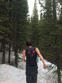 Man standing on tree trunk in forest