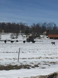 Snow on field against sky during winter