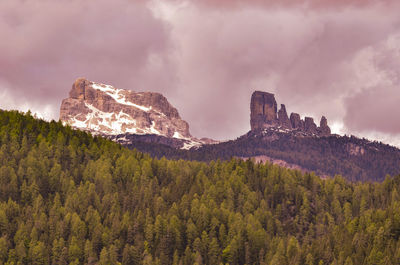 Panoramic view of trees and mountains against sky