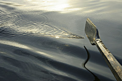 Paddle in water