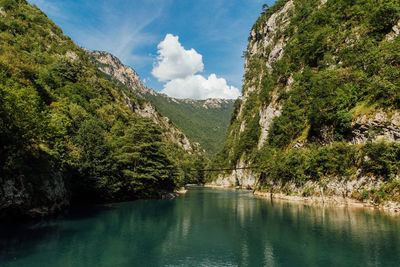 Scenic view of river amidst trees against sky