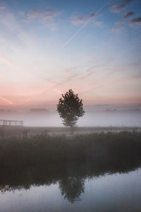 Silhouette of trees against sky