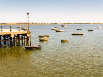 Sailboats moored in marina