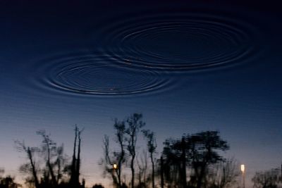 Close-up of silhouette trees against sky at night