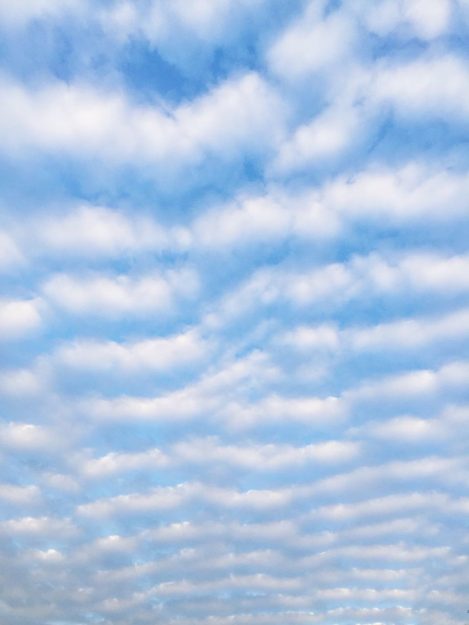 sky, cloud - sky, cloudy, beauty in nature, tranquility, scenics, low angle view, sky only, cloudscape, tranquil scene, nature, backgrounds, full frame, weather, white color, cloud, idyllic, outdoors, day, blue