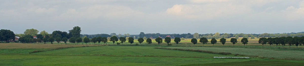 Scenic view of grassy field against cloudy sky