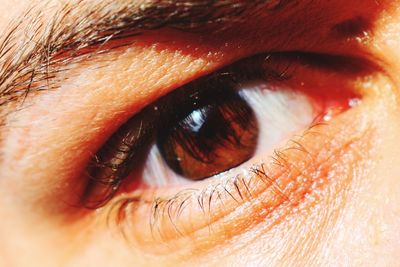 Close-up of human eye