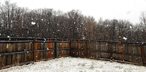 Snow covered trees against sky