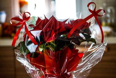 Close-up of red flowers on table