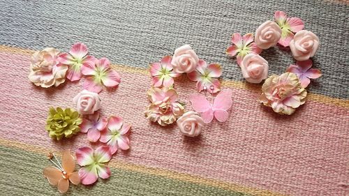 High angle view of pink roses