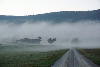 Rural and foogy morning 