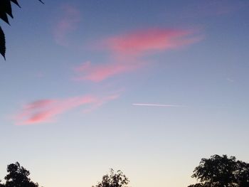 Low angle view of silhouette trees against sky