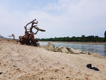 View of beach against sky