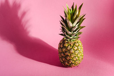 Close-up of fruit against white background