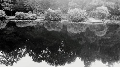Reflection of trees in lake against sky