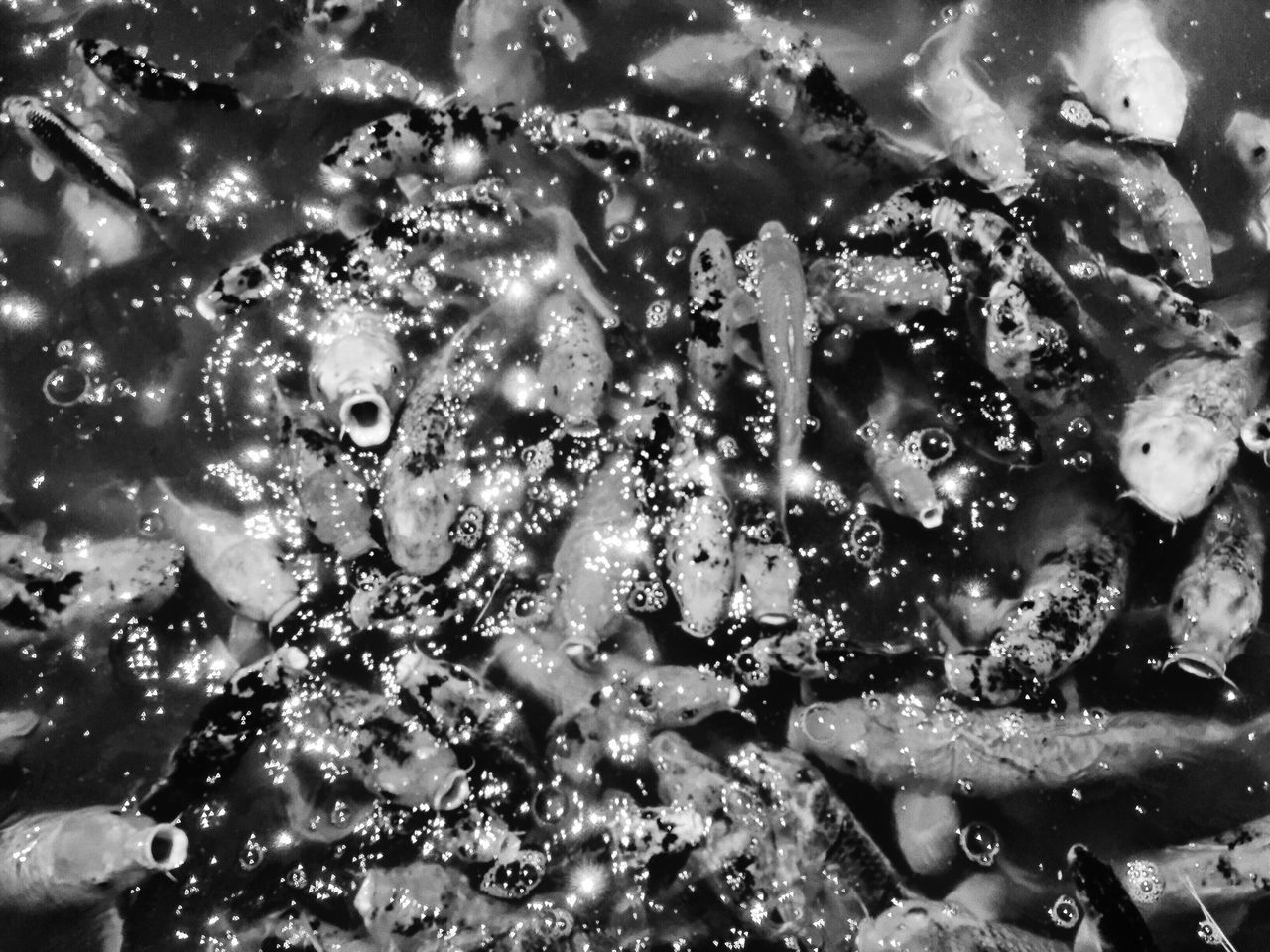 FULL FRAME SHOT OF WATER IN CONTAINER