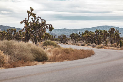 Road amidst trees and landscape against sky