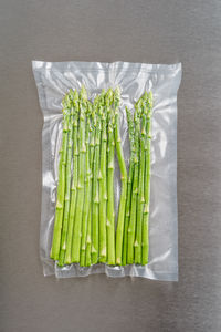 High angle view of vegetables on white background