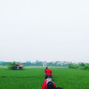 Rear view of man on agricultural field against clear sky